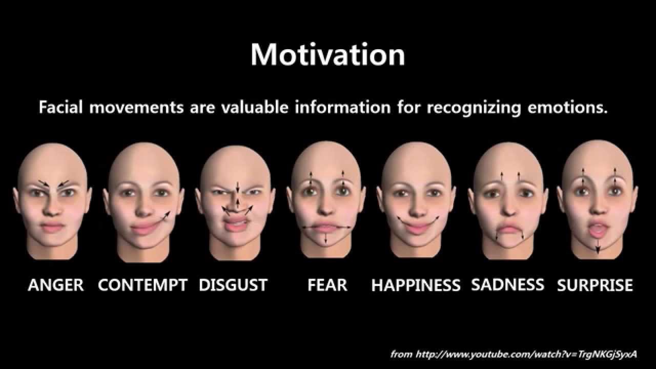 Facial Emotion Recognition